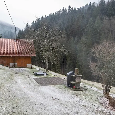 Herzglueck Apartman Bad Rippoldsau-Schapbach